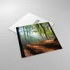 Bilder auf glas - Wald Blätter Sonne - 70x70cm - Glasbilder Produktbild-Vorschau 2