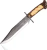 Großer dekorativer Jagdkordik 38 cm – Ziermesser mit Produktbild-Vorschau 2