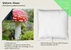 Wallario Premium Kissen, weiche Oberfläche, mit Motiv Produktbild-Vorschau 2