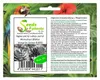 10x Agave parryi subsp. parryi Winterhart Blätter blaugrün Produktbild-Vorschau 1
