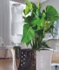 Adapter do butelek BioGreen 4x do systemu nawadniania Podgląd zdjęcia produktu 10