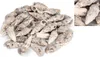 Cerithium aluco 0,5 kg 5-7,5 cm ca. 34-45 Stück Produktbild-Vorschau 2