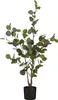 Mica Decorations Eucalyptus plante artificielle dans pot de Voir les images du produit 1