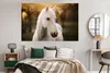 MuchoWow® Poster Pferd - Sonne - Herbst - Tiere - Natur Produktbild-Vorschau 4