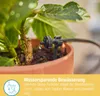 Micro-Drip-System Endtropfer 2 l/h (dunkelgrau, 10 Stück, Produktbild-Vorschau 7