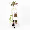 Étagère en échelle ECODECO pour jardinière surélevée de Voir les images du produit 16