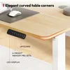 SANODESK Biurko z regulacją wysokości elektryczne 120x60cm Podgląd zdjęcia produktu 4