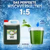 Rainbow sciroppo slush mela 5 litri 1:5 senza coloranti AZO Anteprima dell’immagine prodotto 4
