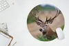 MuchoWow® Mauspad Mousepad Hirsche - Farne - Natur 50x50 cm Produktbild-Vorschau 5