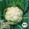 Samenliebe  Blumenkohl Samen | Weißer Schneeball - weiß & Produktbild-Vorschau 4
