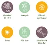 GreenboutiQ - Bodendecker - Winterhart - Sedummatte - Produktbild-Vorschau 5