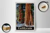 Holzschild Reise 20x30cm California Amerika Natur Wald Produktbild-Vorschau 2