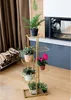 A multi-tiered gold plant stand filled with various potted plants, placed in a room with a fireplace and curtains. Náhľad obrázku produktu