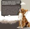 A dog looking up at a text bubble with information about dog food. Produktbild-Vorschau