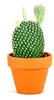 Gardners Opuntia, průměr 6 cm Náhled obrázku produktu 6