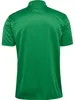Hummel Authentic Functional Polo, grün, S, Produktbild-Vorschau 2