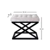 Hanah Home, Capraz - Black, White v3, pufa, 100% METAL, Podgląd zdjęcia produktu 2