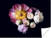 MuchoWow® Poster Blumen - Rosa - Pastell 160x120 cm - Foto Produktbild-Vorschau 1