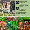 Blumfeldt Podwyższona grządka z metalu, Odporna na warunki Podgląd zdjęcia produktu 6