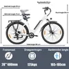 E-Bike Cityrad Cityrad 28 Zoll Damen/Herren HZ28ST SUV, Produktbild-Vorschau 6