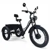 E Bike Dreirad Fat E-Bike Lastenfahrrad elektrische dreirad Produktbild-Vorschau 1