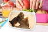 KitchenYeah® Lunchbox Brotzeit Brotdose 17x11 cm Ein Produktbild-Vorschau 3