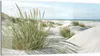 DEQORI Glasbild Echtglas 100x50 cm 'Dünen an Nordseeküste' Produktbild-Vorschau 1