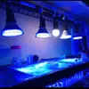 15W LED Aquarium Beleuchtung E27 Lampe Vollspektrum Produktbild-Vorschau 5