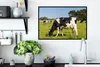 MuchoWow® MuchoWow® Gerahmtes Poster Kuh - Gras - Tiere - Produktbild-Vorschau 3