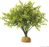Exo Terra Terrarien-Pflanze Buchsbaum Produktbild-Vorschau 1
