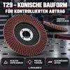 Fächerscheiben 125 mm Holz Metall P36 Lamellenscheiben 20 Produktbild-Vorschau 8