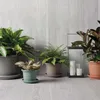 Pflanzkübel GREENER GUYA 20 cm grün Produktbild-Vorschau 4
