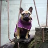 Hurtta Casual Steppjacke Quilted violett, Größe: 40XL Produktbild-Vorschau 2