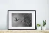 MuchoWow® MuchoWow® Gerahmtes Poster Kolibri im Regen in Produktbild-Vorschau 4