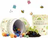 Naturabenteuer 100 bunte Blumenmurmeln in Dose Saatkugeln - Produktbild-Vorschau 2