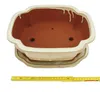 Bonsai-Schale mit Untersetzer Gr. 5 – hellbeige – Haitang Produktbild-Vorschau 2