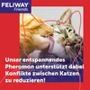 Feliway Friends Kit de démarrage pour chats 48 ml Voir les images du produit 3