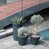 Květináč CLASSIC 35 cm - barva: cihla Voir les images du produit 21