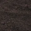A close-up, textured view of dark soil. Produktbild-Vorschau
