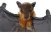 Carl Dick Flughund, Flying Fox ca. 23cm, ca. 60cm Produktbild-Vorschau 3