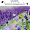 300x Lavendel Samen mit hoher Keimrate - Vielseitig Produktbild-Vorschau 3
