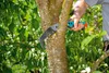 Scie de jardin combisystem coudée GARDENA : Scie à branches Voir les images du produit 4