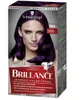 Schwarzkopf Brillance Gem Collection, Violett, Dunkler Produktbild-Vorschau 4