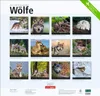 Wandkalender 2027: Wölfe – Beeindruckende Naturfotografie Produktbild-Vorschau 2