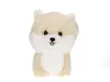 Maskottchen Teddy Haustiere, Zwergspitz/Pomeranian Produktbild-Vorschau 1