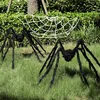 Halloween Riesiges Baby Olbrigm Spinne Anteprima dell’immagine prodotto 10