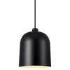 A black pendant light fixture against a white background. Voir les images du produit