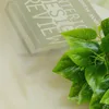 Gardinen Vorhänge Voile Gardine Transparent Dekoschal Uni Produktbild-Vorschau 7