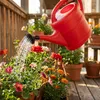 Geli Gießkanne rot Kunstoff 5ltr Fassungsvermögen mit Produktbild-Vorschau 3