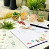 Oblique Unique 22 Kakteen Sticker Blumen Kaktus Aufkleber Produktbild-Vorschau 4